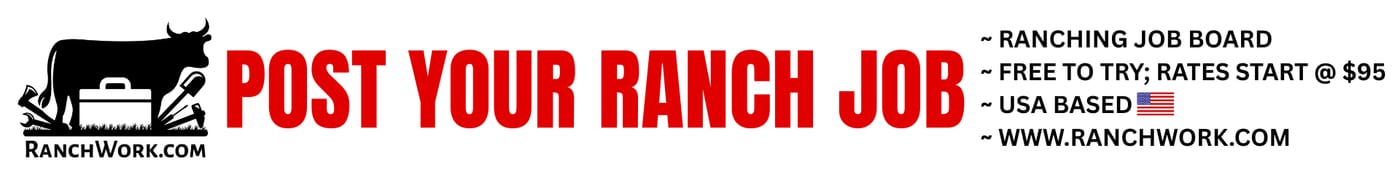 Example livestream banner advertisement 2