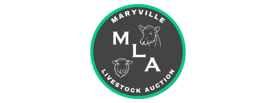 Maryville Livestock Auction