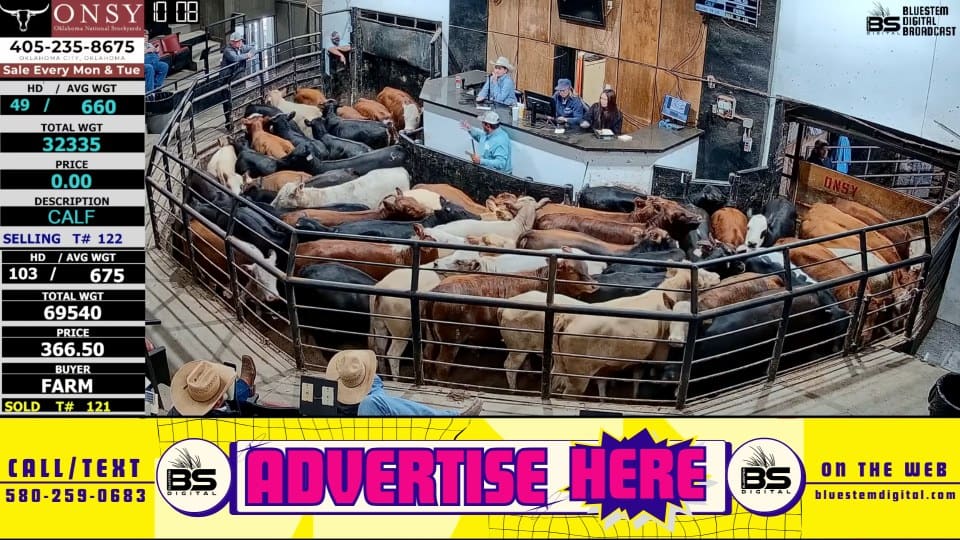A live broadcast from Oklahoma National Stockyards: sale data down the left, cattle in the ring, and the advertising banner running across the bottom