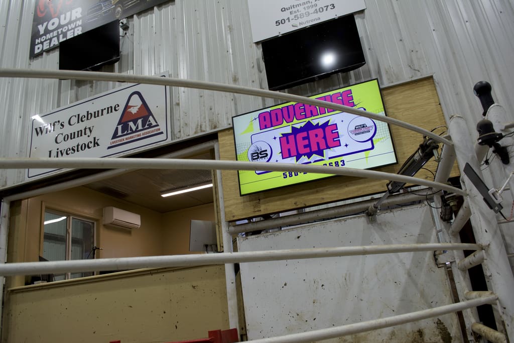 A ringside digital screen mounted above the ring at a sale barn
